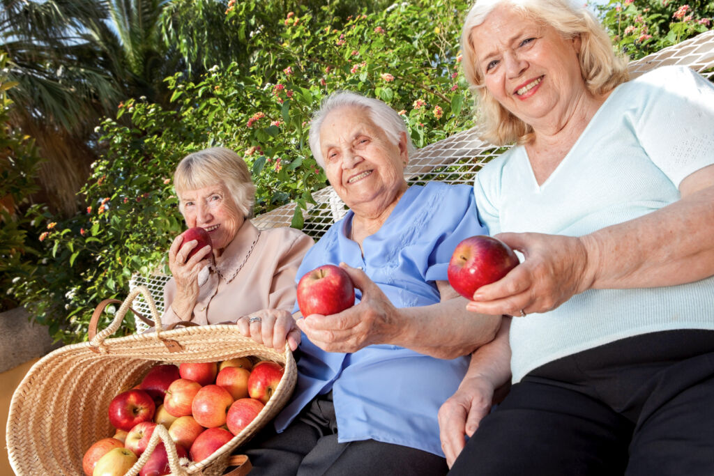 Three women sitting on a bench sampling apples from the apple-picking.